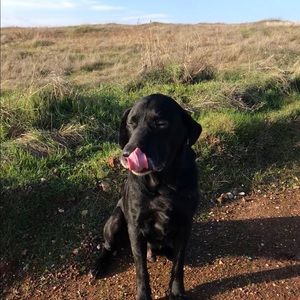 Meet your Posher, Kylie